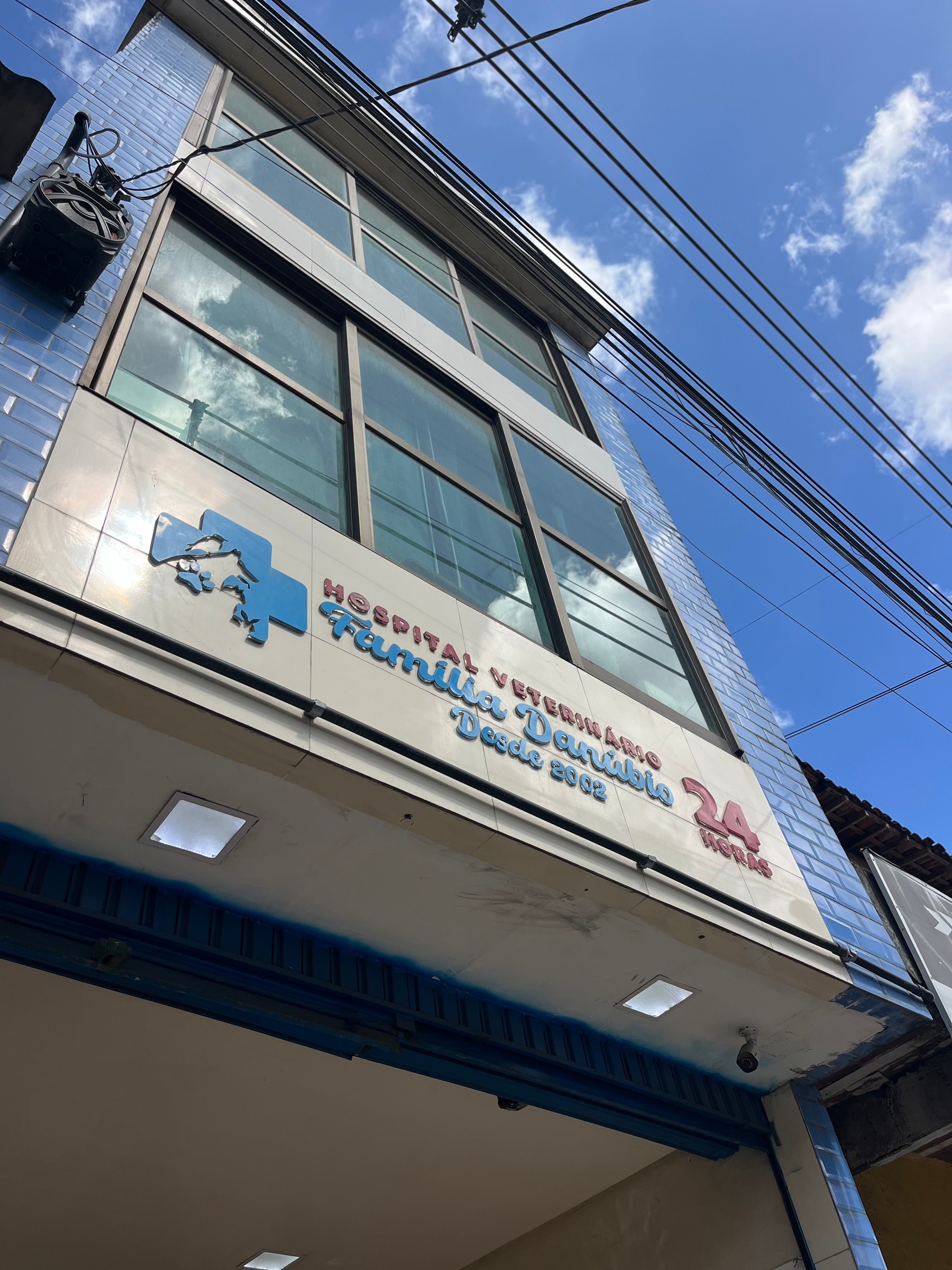 Recepção acolhedora e equipe do hospital veterinário